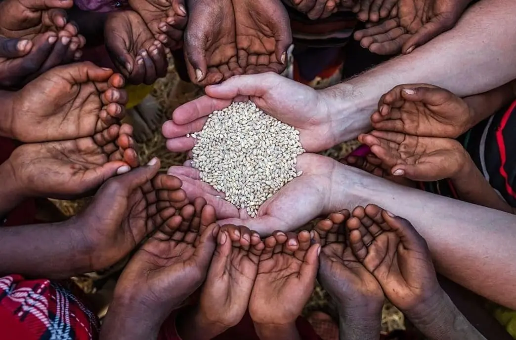 غذاهای گیاهی متنوع برای هر وعده