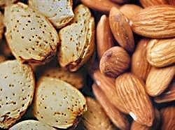 اطلس حیوانات